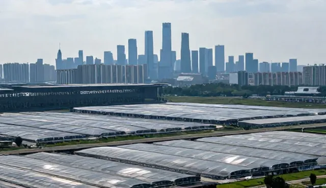 自动化测试选型关注点及软件定制建议
